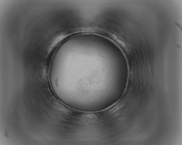 X0000091471454200708231328