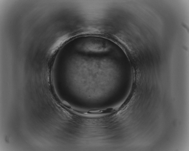 X0000091471455200708231328