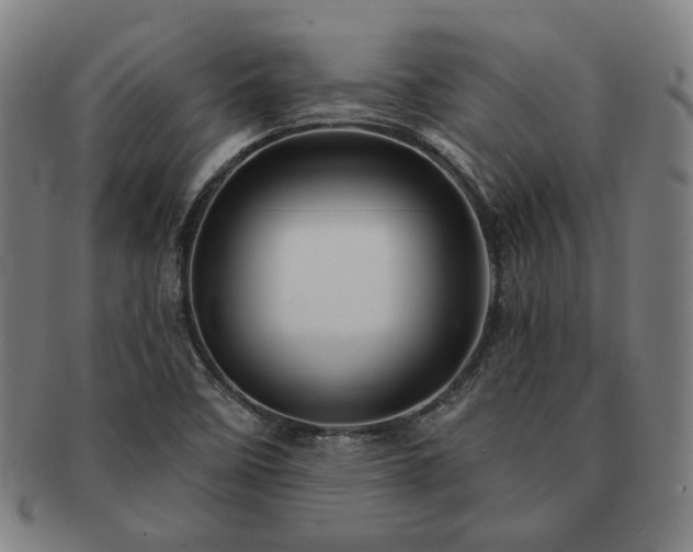 X0000091471458200708231328