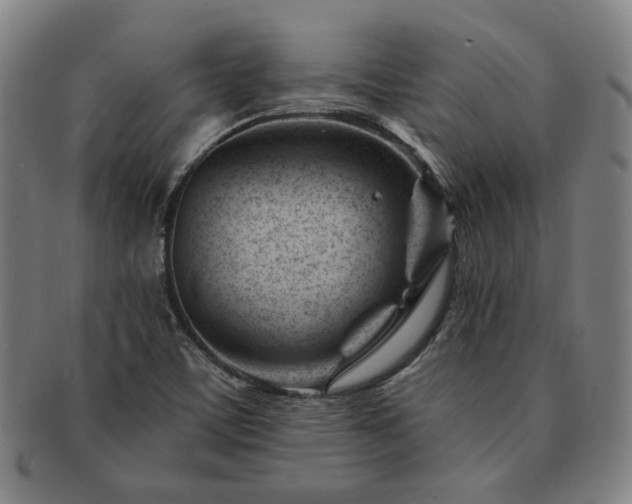 X0000091471459200708231328