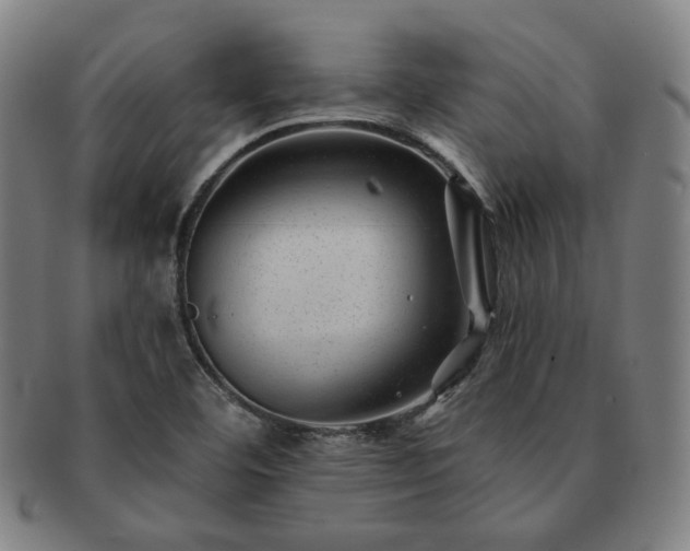 X0000091471460200708231328