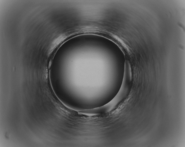 X0000091471461200708231328