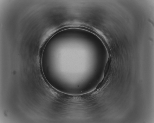 X0000091471464200708231328