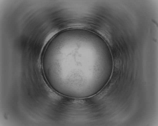 X0000091471466200708231328