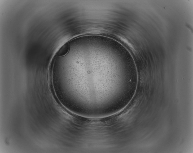 X0000091471467200708231328