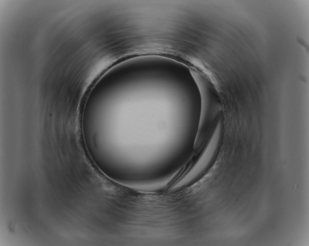 X0000091471469200708231328