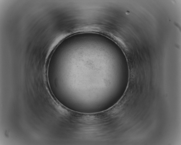 X0000091471470200708231328