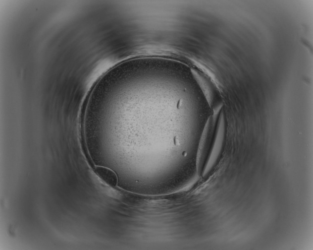 X0000091471471200708231328