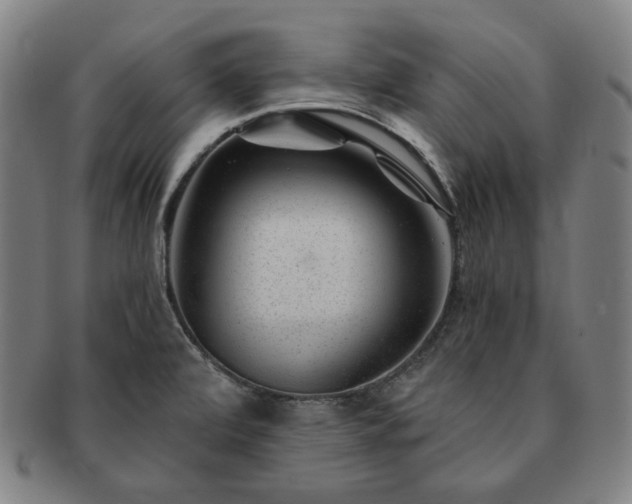 X0000091471472200708231328