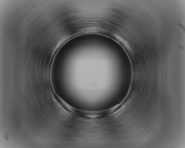 X0000091471473200708231328