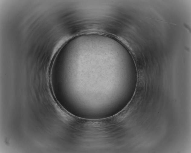 X0000091471474200708231328