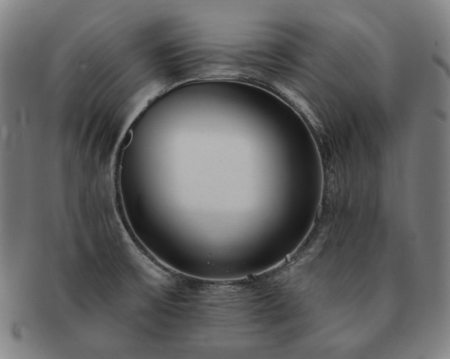 X0000091471475200708231328