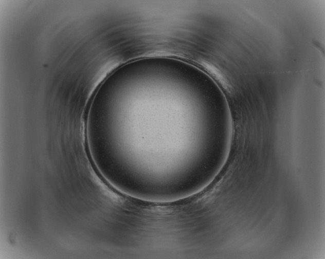 X0000091471476200708231328