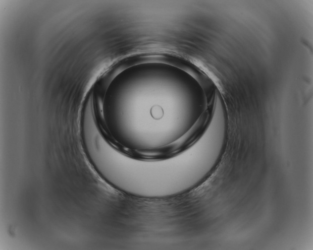 X0000091471477200708231328