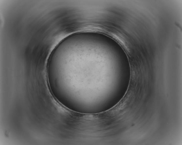 X0000091471478200708231328