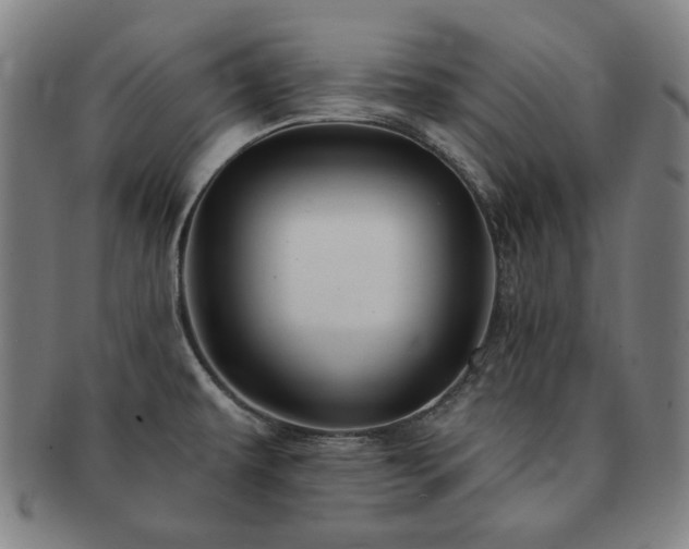 X0000091471479200708231328