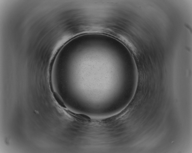 X0000091471480200708231328