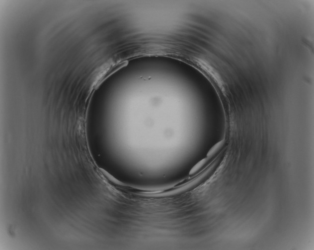 X0000091471481200708231327