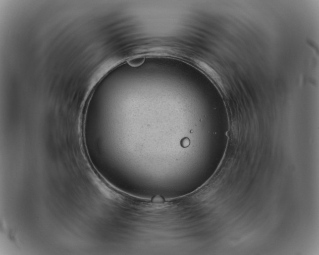 X0000091471482200708231327