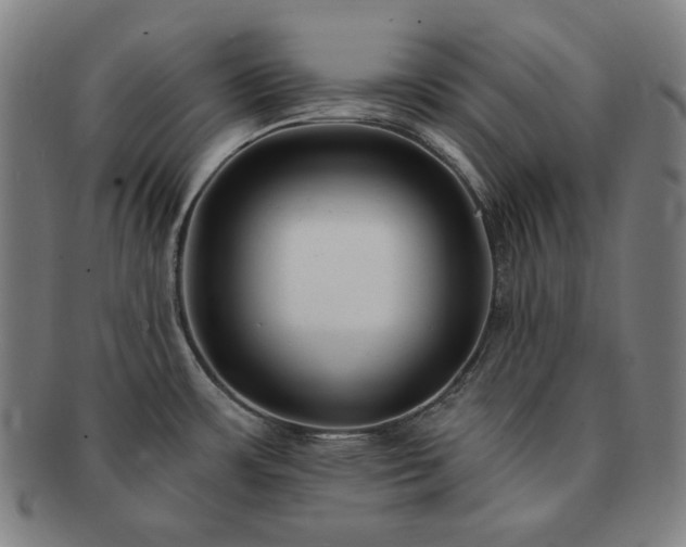 X0000091471483200708231327