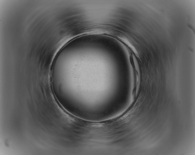 X0000091471484200708231327