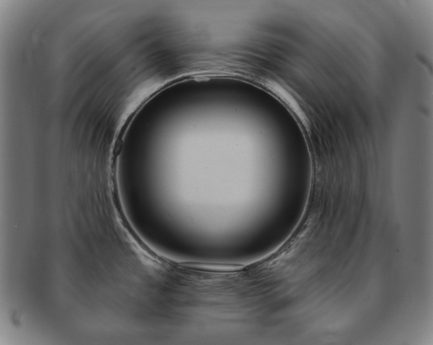 X0000091471485200708231327