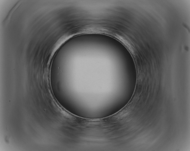 X0000091471486200708231327