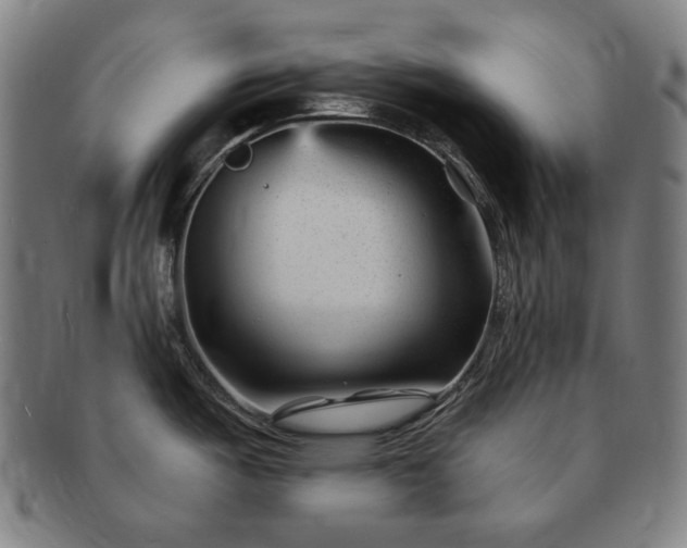 X0000091471487200708231327