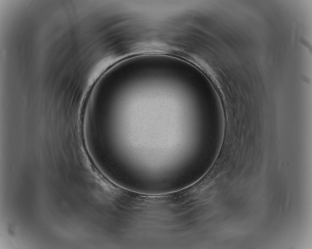 X0000091471488200708231327