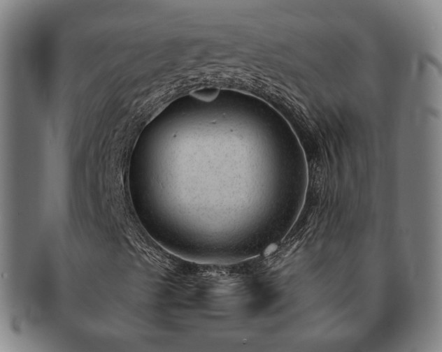 X0000091471489200708231326