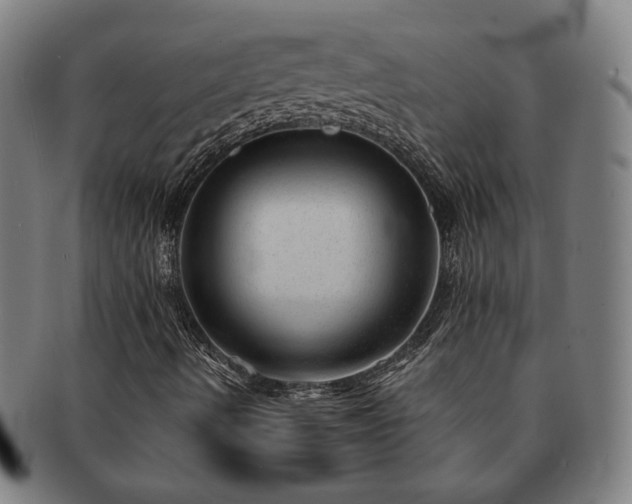 X0000091471490200708231326