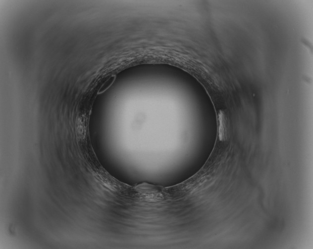 X0000091471491200708231326