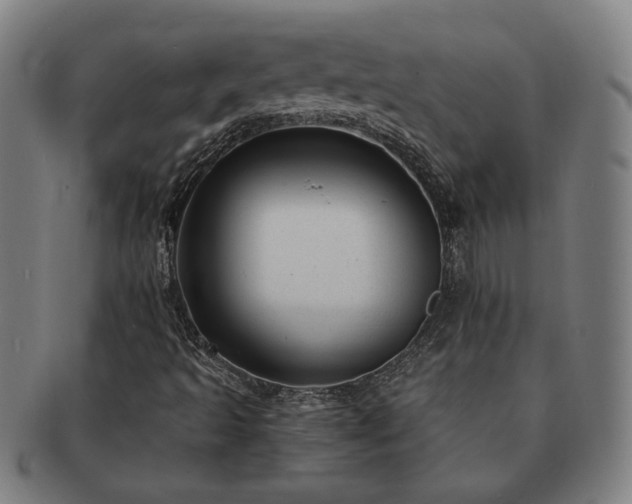 X0000091471493200708231326