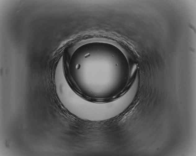 X0000091471494200708231326