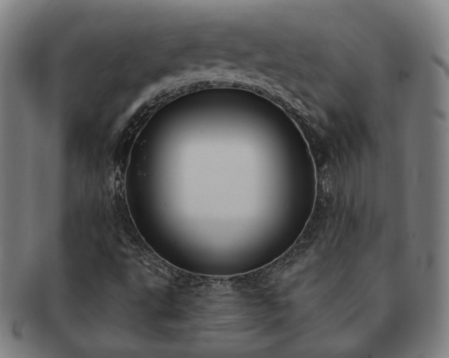 X0000091471495200708231326