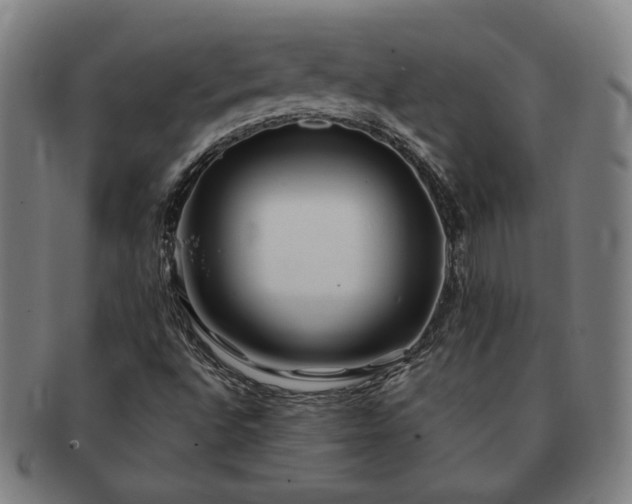 X0000091471496200708231326