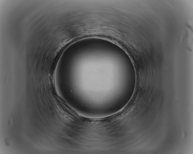 X0000091471497200708231327