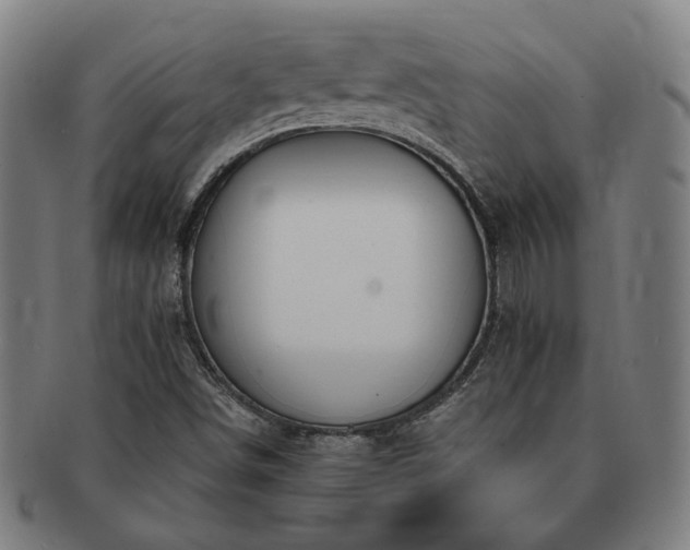 X0000091471498200708231327