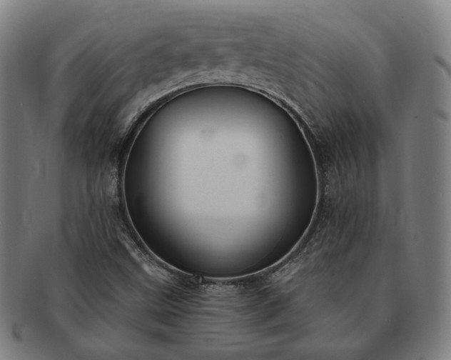 X0000091471499200708231327