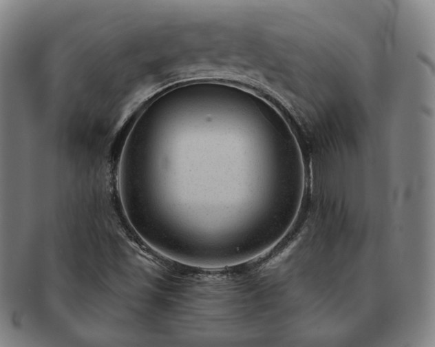 X0000091471501200708231327