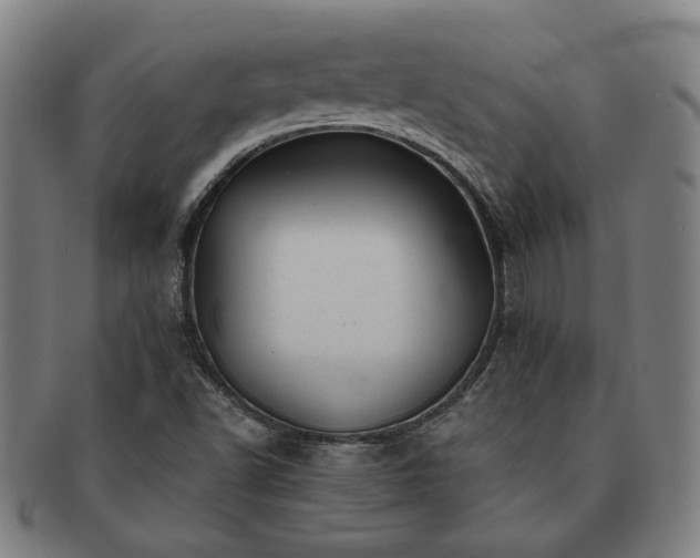 X0000091471502200708231327