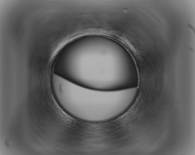 X0000091471504200708231327