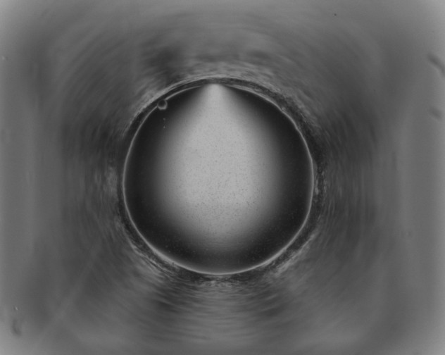 X0000091471505200708231327