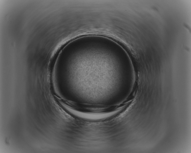 X0000091471506200708231327