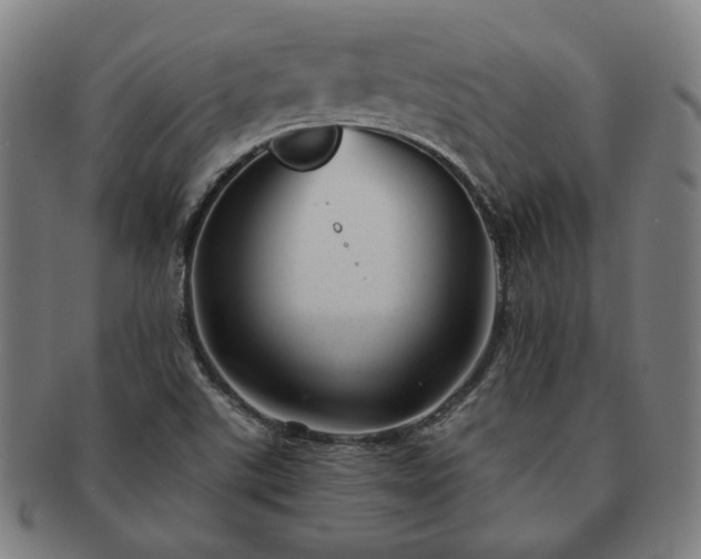 X0000091471507200708231327