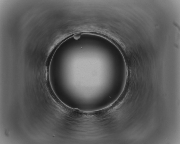 X0000091471509200708231327