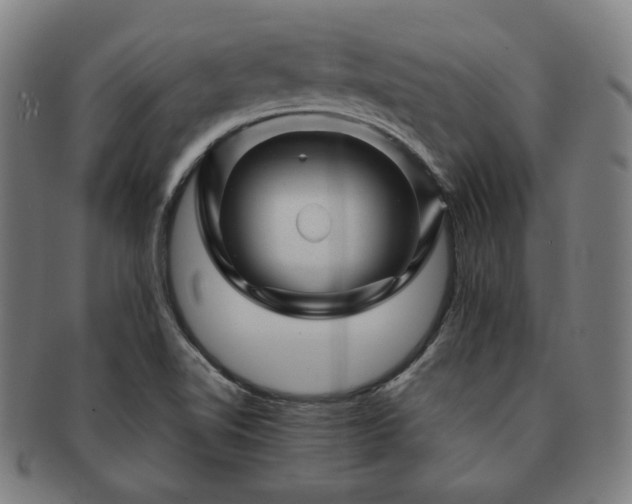 X0000091471510200708231327