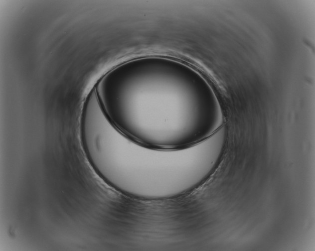 X0000091471512200708231327