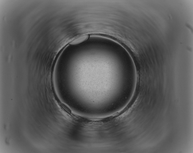 X0000091471513200708231327