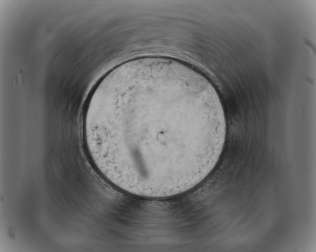 X0000091471514200708231327